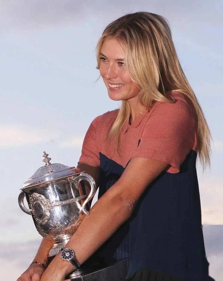 开云入口-莎拉波娃经典比赛