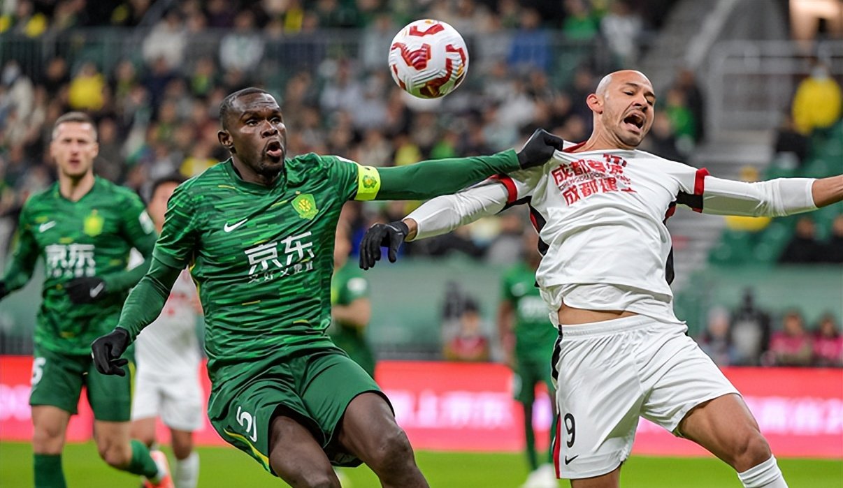 国安队是做什么的